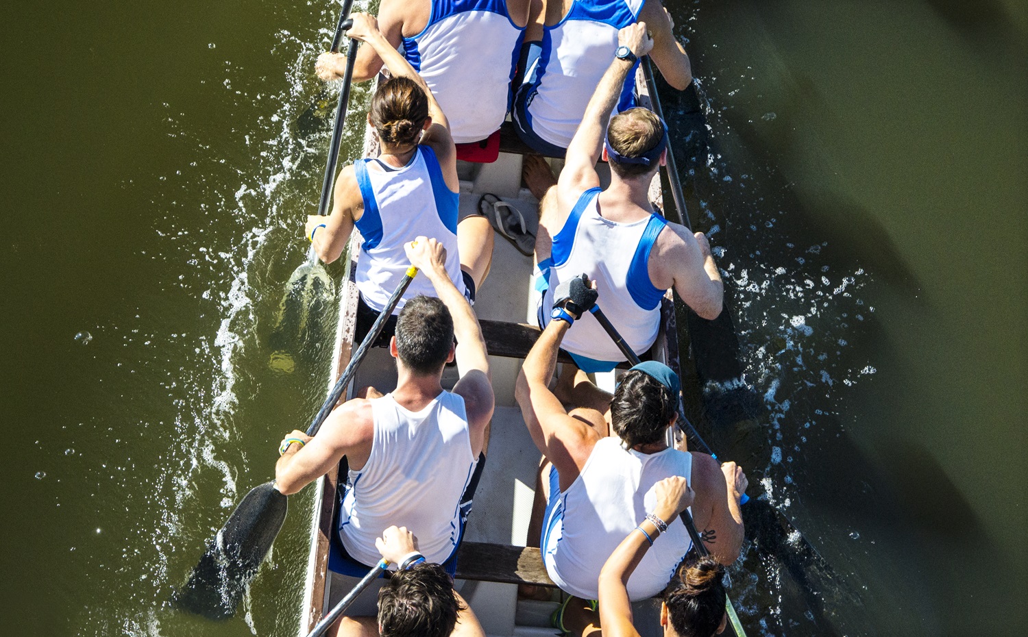 Rowers working together interdependently
