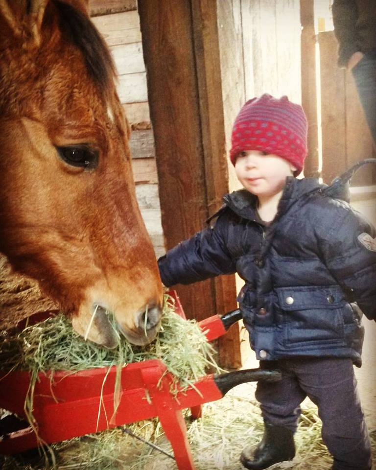 1374944_10156439579400061_5048398235839263083_n