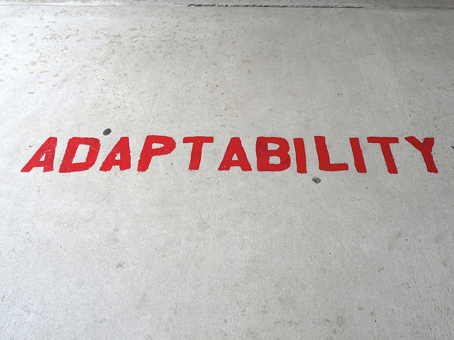 Adaptability