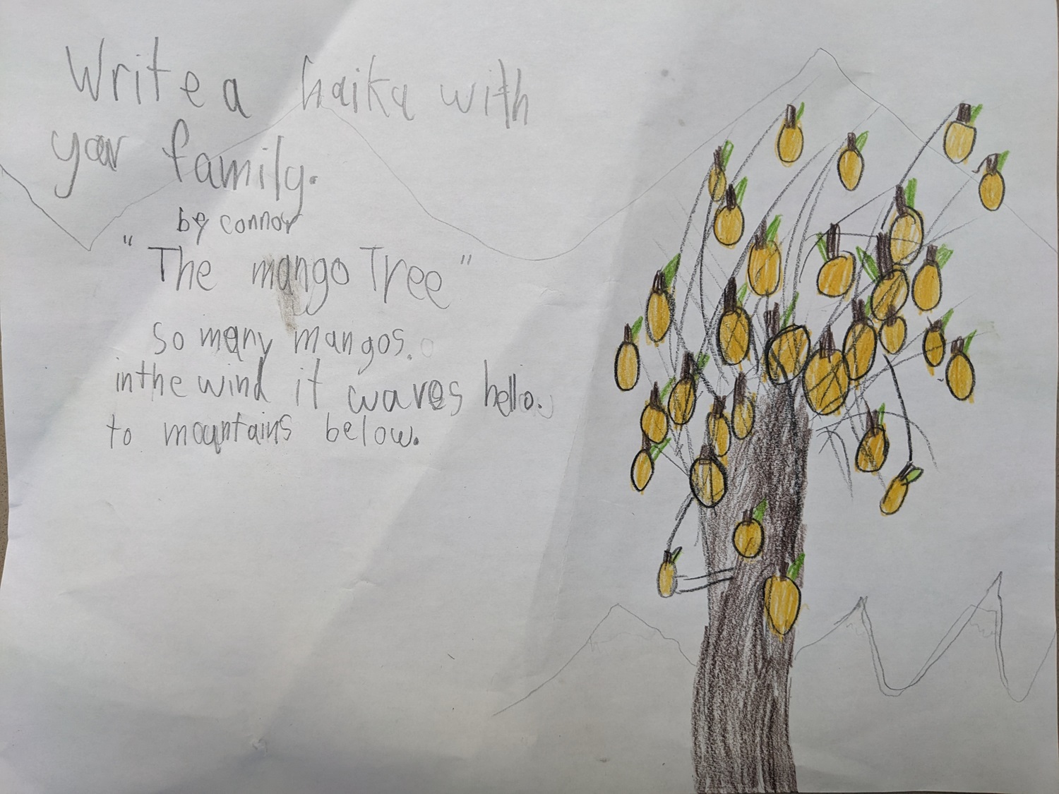 This is a picture of a haiku written by a grade 2 student. It is called "The Mango Tree"