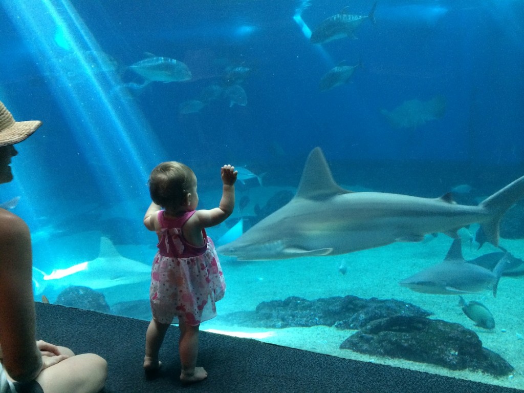 Everything is amazing when you think about how it appears to a 10-month-old human seeing it for the first time.