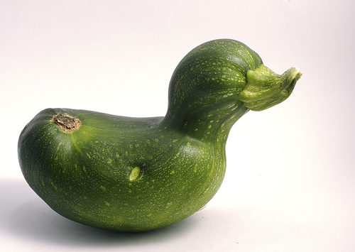 zucchini